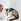 Cream Cats Long Sleeve Pyjamas
