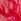 Pink/Red Lobster Tie Detail Skirt (3-16yrs)