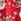 Red/White All Over Print - Christmas Pyjamas Set (3-16yrs)