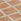 Think Rugs Coral H1063 Modern Rug