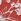 Red Poinsettia Long Sleeve Pyjamas