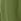 Green M&co Crinkle Shorts