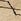 Asiatic Rugs Souk Jute Rug