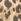 Leopard Rockett St George Hand Wash And Lotion Set