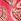 Coral Pink Reiss Nola Printed Rash Vest Bikini Set