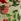 Set Of 3 Christmas Wrapping Paper Gift Tags And Ribbons Set