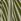 Green Pour Moi Slub Midi Shirt Dress
