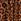 Imprimeu leopard - Pour Moi Angel Sleeve Shirred Bodice Woven Dress