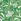 Green Seasalt Cornwall Barnoon Jersey Printed Short-sleeve Blouses