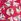 Red Seasalt Cornwall Multi Charlotte 100% Cotton Dress