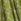 Green Jd Williams 100% Cotton Broderie Smock Dress