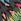 Khaki Animal Tropical Print Love & Roses Crew Neck Jersey T-shirt