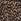 Brown Never Fully Dressed Black Poppy Mini Nara Dress
