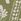 Light Green Threadbare Linen Blend Tapered Trousers