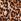 Brown Sosandar 100% Linen Shirt