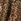 Brown Yumi Mesh Heart Print Tulle Skirt