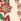 Ecru Floral Joules Highgrove 100% Silk Skinny Scarf
