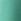 Green Regatta Sabelle Shorts