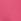 Pink Love & Roses Scallop V-neck Flute Sleeve Blouse