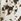 Ecru Speckle Print Soft Peplum Short Sleeve Top