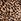 Leopard Brown Victoria's Secret Exploded Logo Knickers