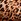 Leopard Brown Victoria's Secret Shine Strap Bra