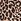 Leopard Brown Victoria's Secret Satin Long Pyjamas Set