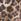 Chocolate Brown Animal Print Pullon Shorts (3-16yrs)