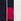 Paddington Cotton Rich License Socks 3 Pack