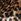 Animal Print Rockett St George Pussybow Mini Dress