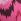 Pink Boden Classic Fold Bikini Bottoms