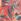Orange Regular Mountain Warehouse Tropical Printed Short Sleeved Shirt