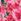 Natural Yours Curve London Floral V-neck Dress