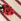 Berry Red Ladybird Trainer Socks 4 Pack
