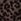 Black Leopard Print Allsaints Ellie Mesh T-shirt