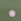 Green Yours Curve Daisy Embroidered Top