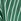 Green Yours Curve Stripe Shirt
