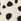 Black/Ecru Dalmation Print Long Dressing Gown (7-16yrs)
