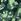 Green Vanilla Underground Minecraft Graffiti Blanket Hoodie