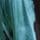 Blue/Green