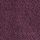Burgundy Red