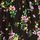 Black Floral