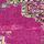 Fuchsia Pink