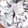 Silver Tone