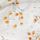 White Floral Broderie