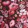 Pink/Red