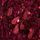 Burgundy Red