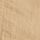 Camel Brown
