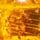 Mesmerising Oudh & Gold