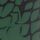 Green Crocodile